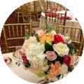 Haldi, Mehndi & Sangeet Decor